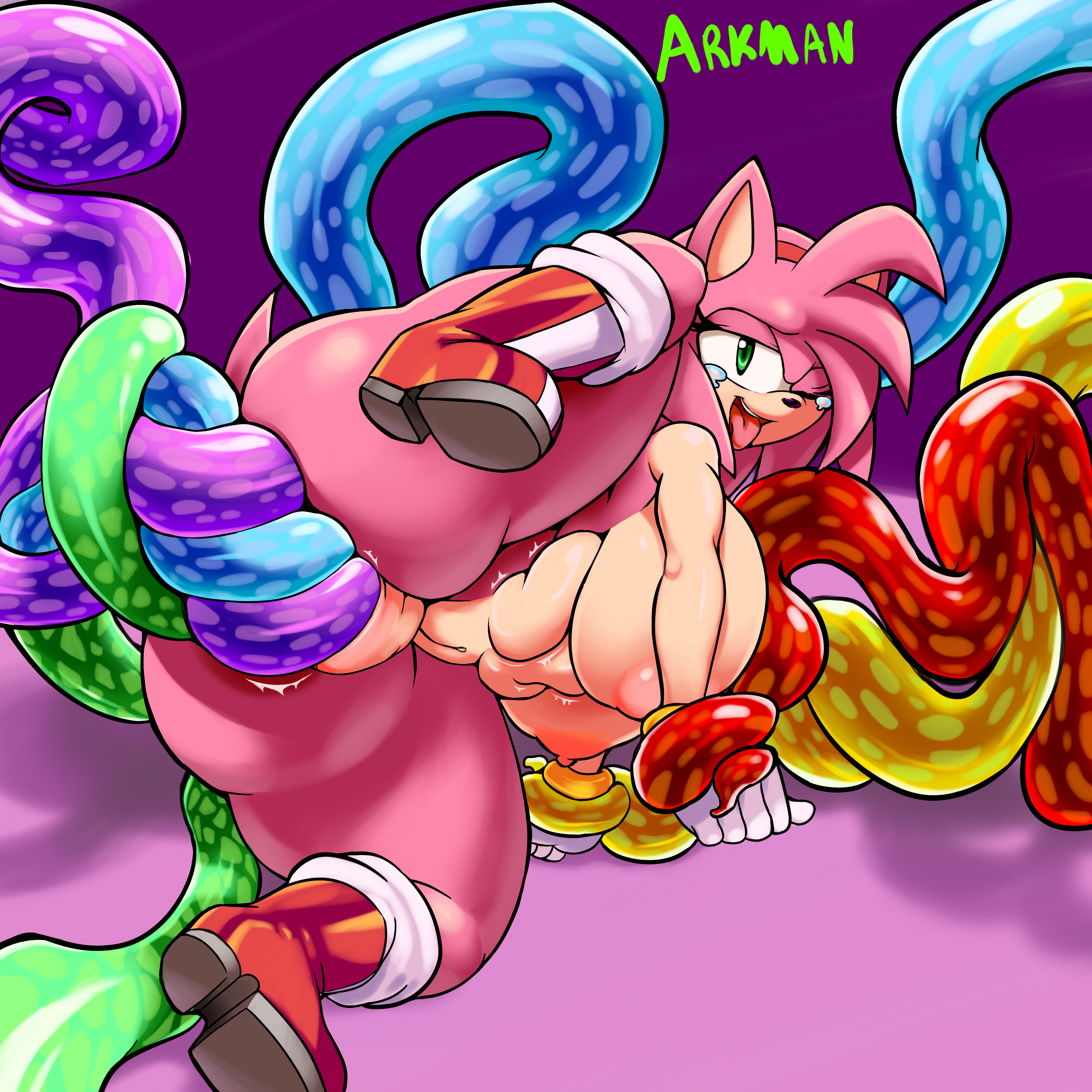 Amy Rose (Sonic (Series)) Rule 34 Image
