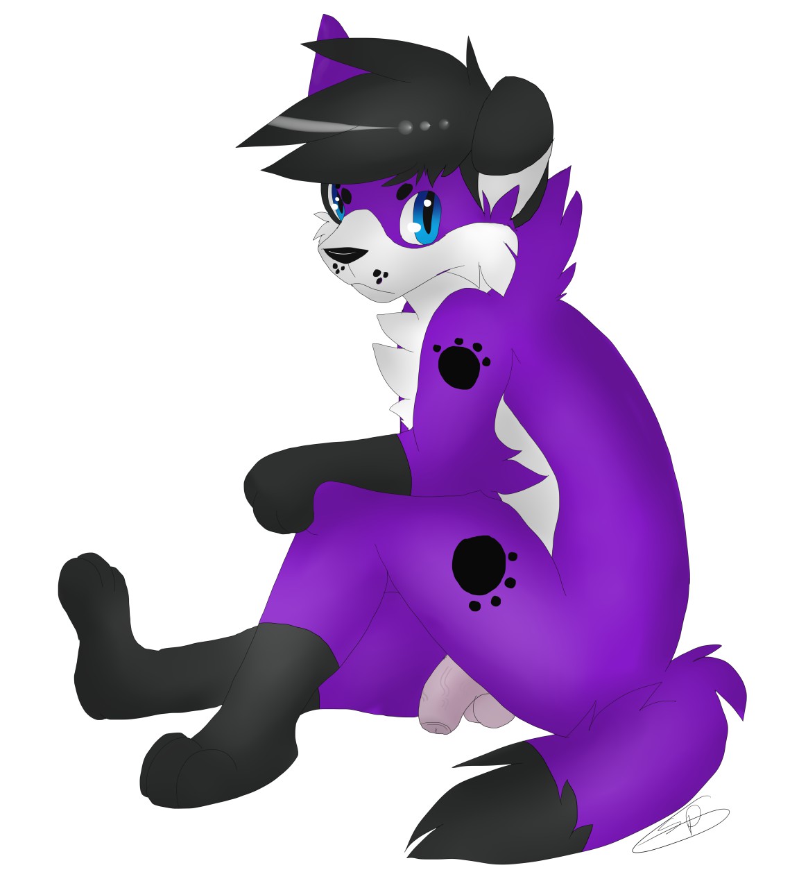 Pawalo Rule 34 Image