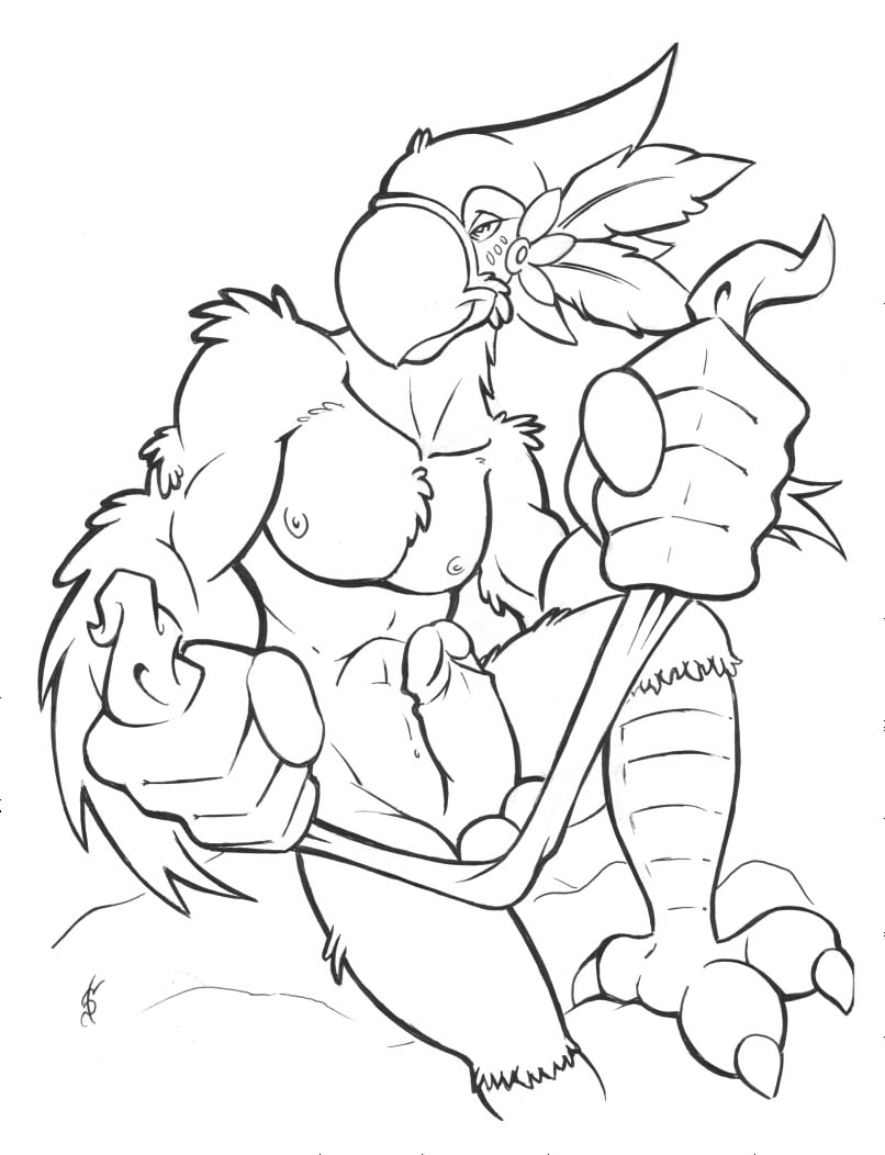 Kass (Zelda) Rule 34 Image