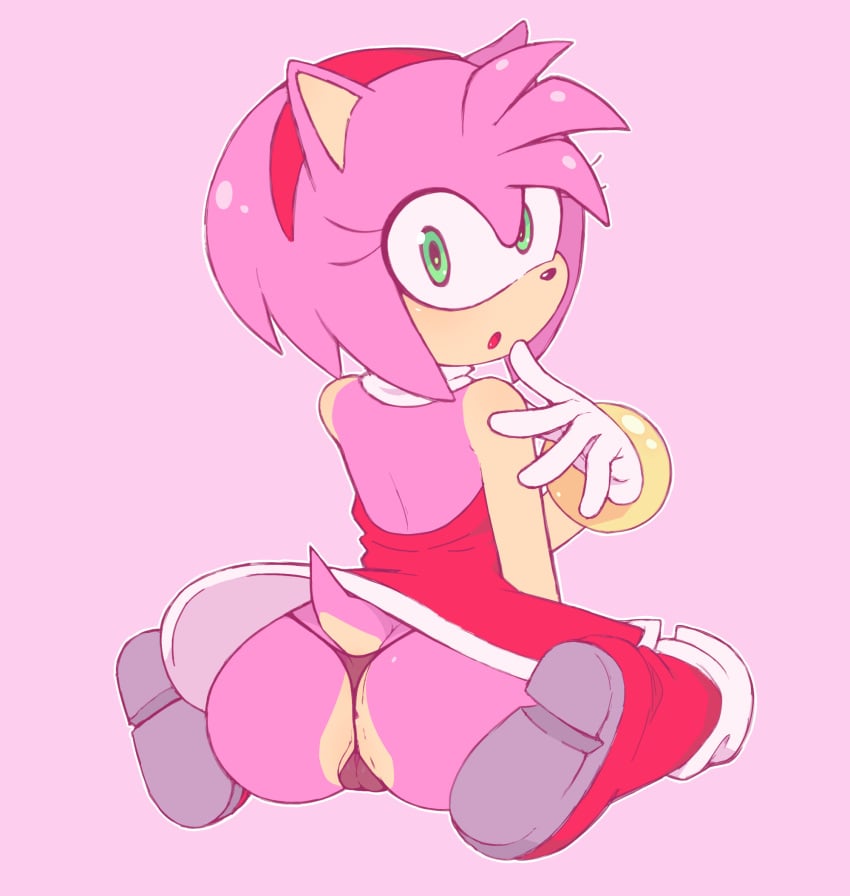 Amy Rose (Sega) Rule 34 Image