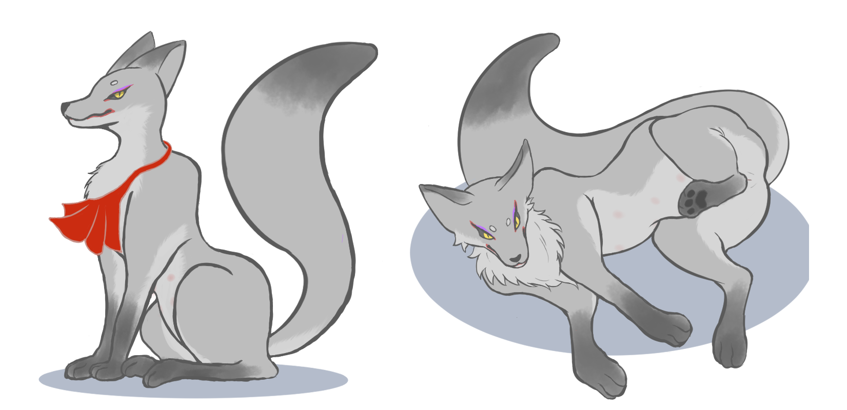 Canid Rule 34 Image