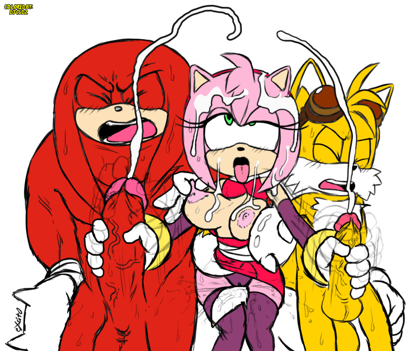 Amy Rose (Sonic (Series)) Rule 34 Image