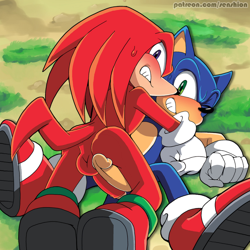 Knuckles The Echidna (Sonic (Series)) Rule 34 Image
