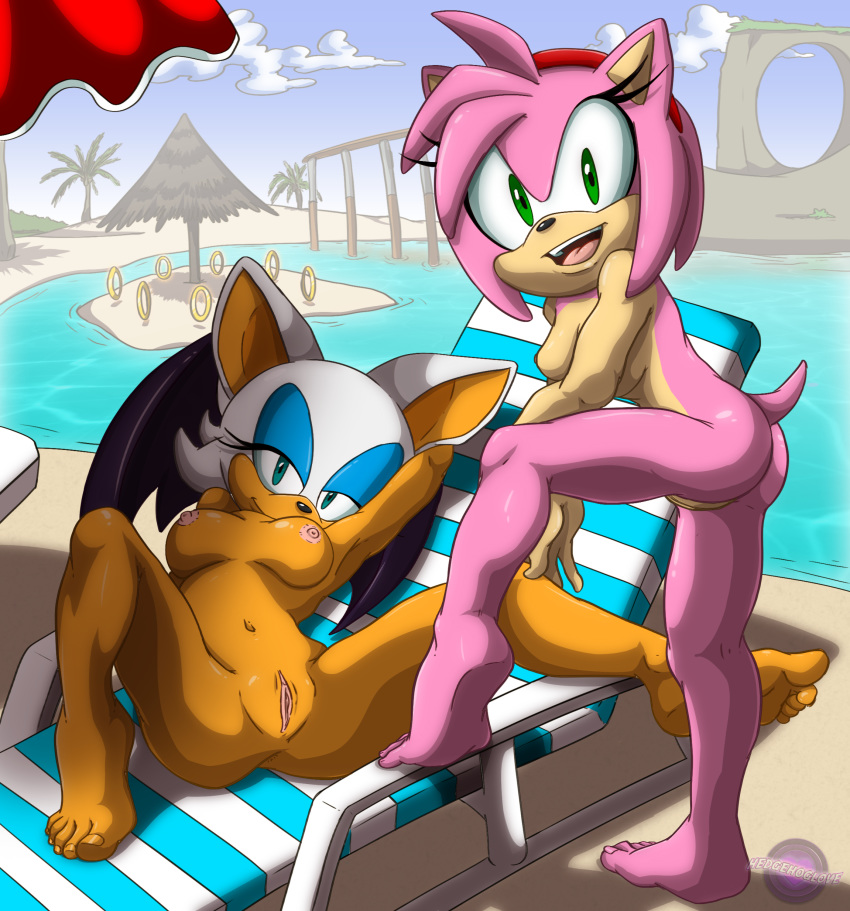 Amy Rose (Sonic (Series)) Rule 34 Image