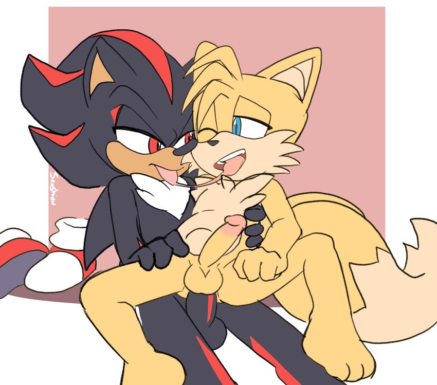 Shadow The Hedgehog (Sonic (Series)) Rule 34 Image