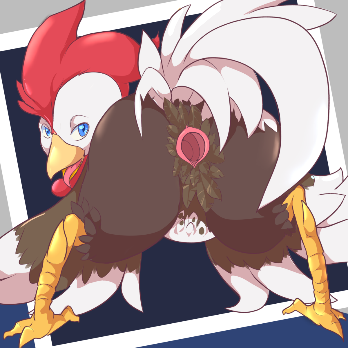 Gallus (Genus) Rule 34 Image