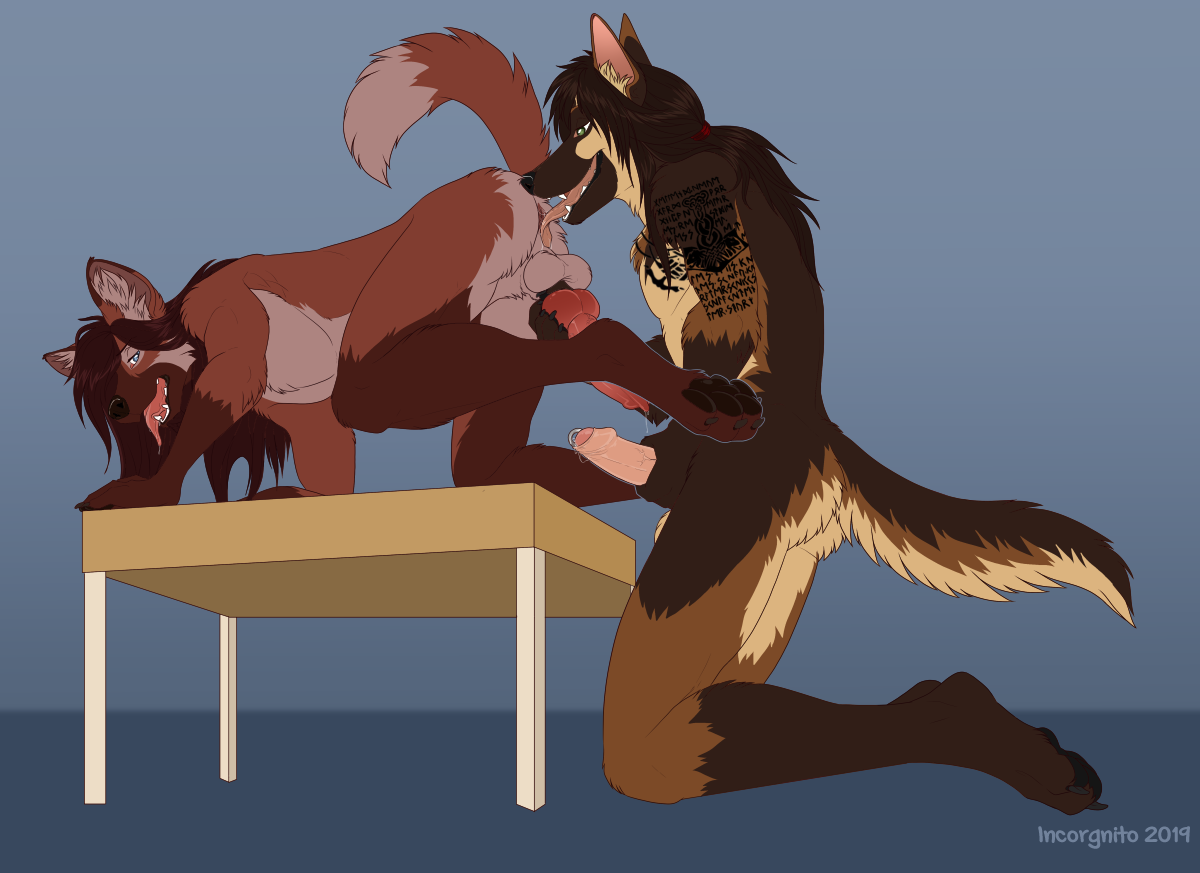 2019 Rule 34 Image
