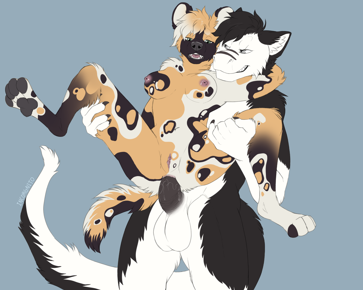2019 Rule 34 Image