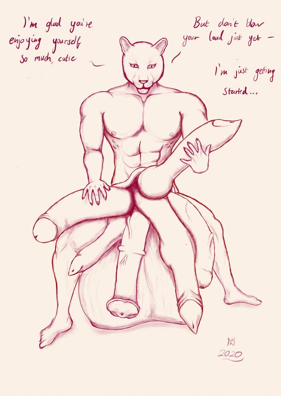 Animal Genitalia Rule 34 Image