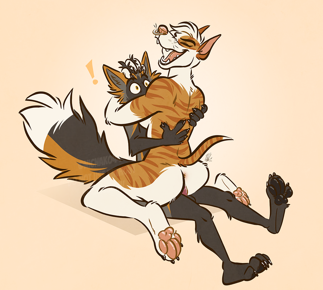 Dashwood (Foxjump) Rule 34 Image