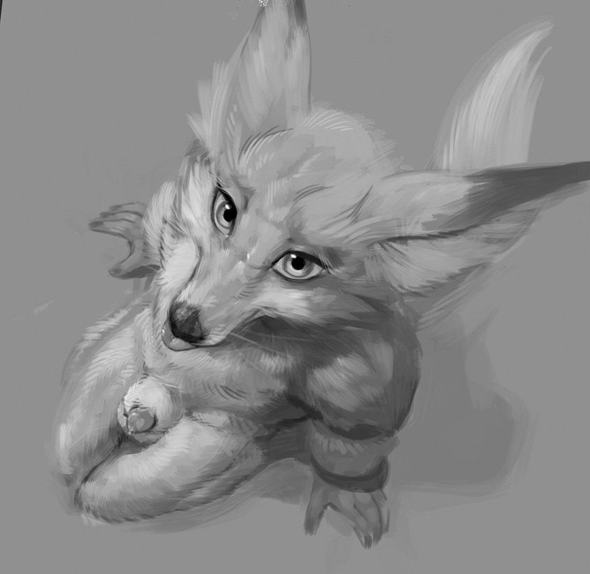 Vulpera (Blizzard Entertainment) Rule 34 Image