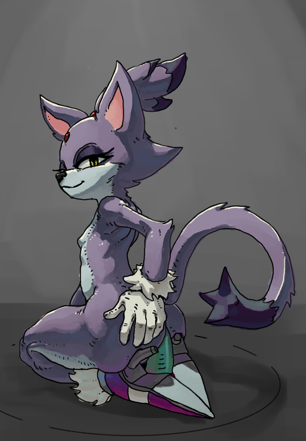 Blaze The Cat (Sega) Rule 34 Image