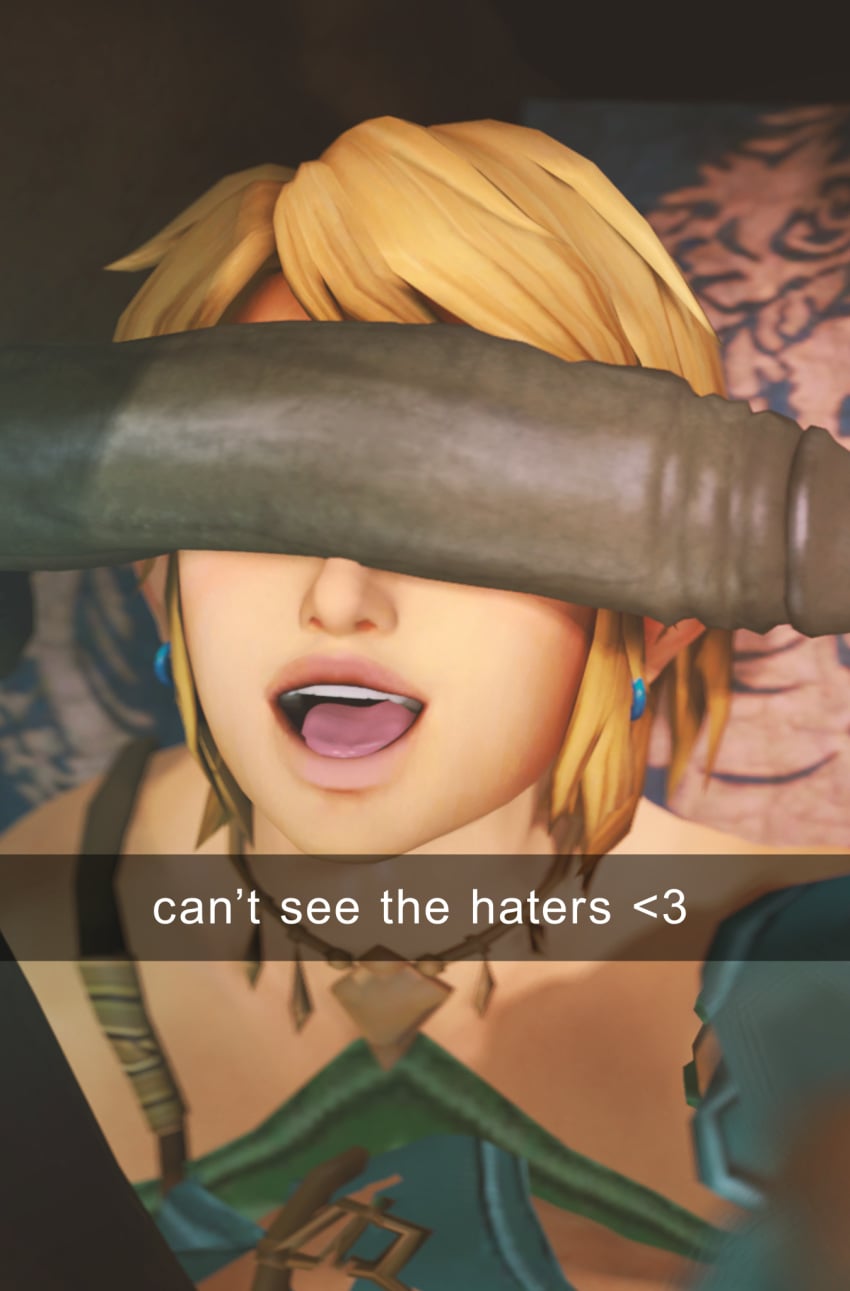 Link (Hyrule Warriors) Rule 34 Image