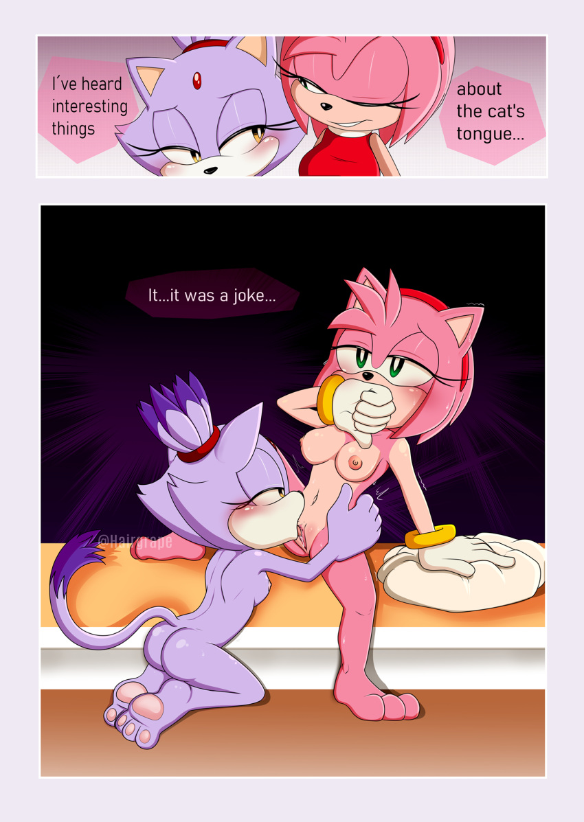 Sonic (Series) Rule 34 Image