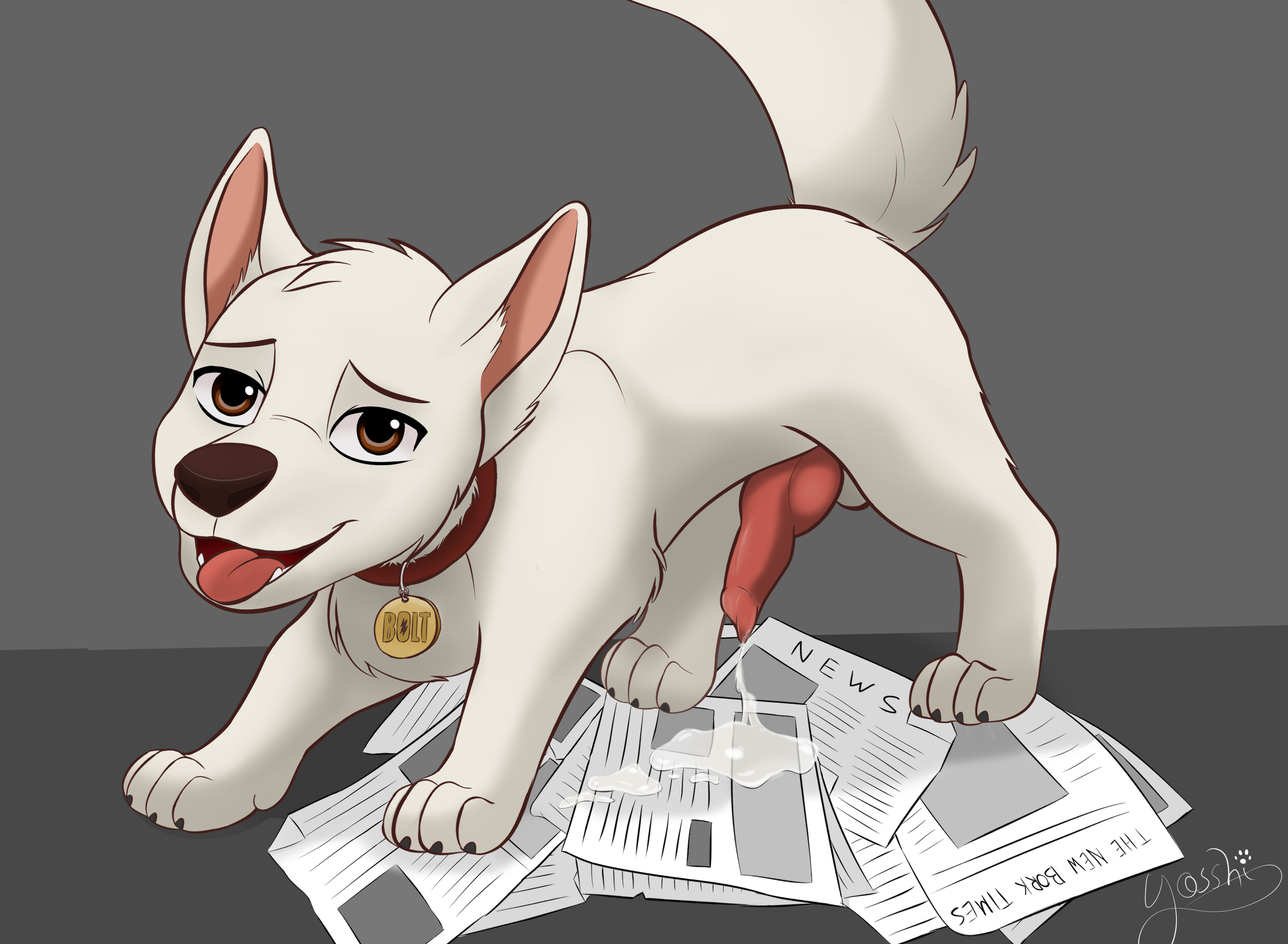 Bolt (Bolt) Rule 34 Image