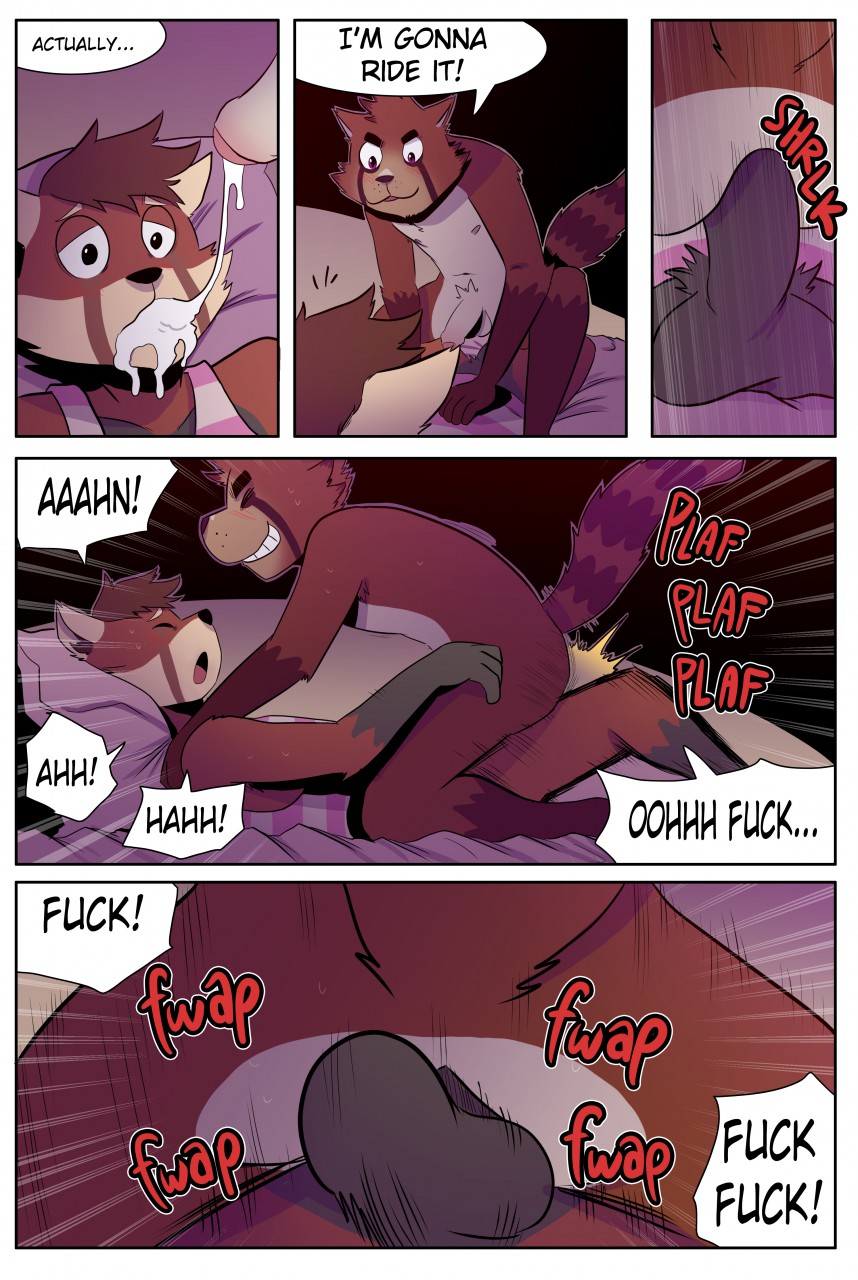 Ailurid Rule 34 Image