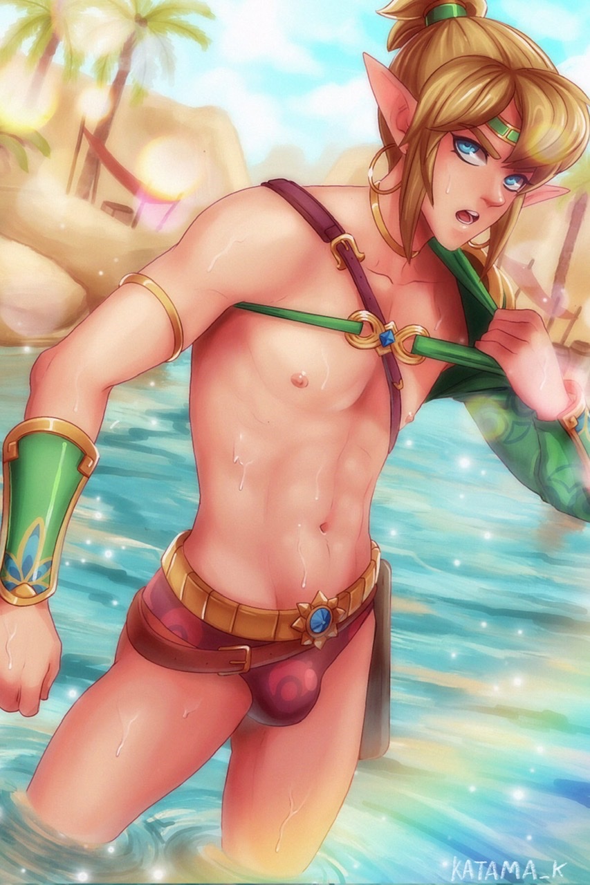 Desert Voe Link (Breath Of The Wild) Rule 34 Image