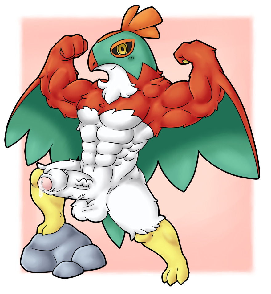 Hawlucha (Nintendo) Rule 34 Image