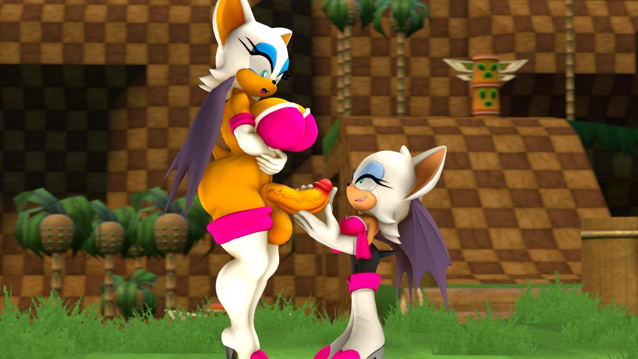 Rouge The Bat (Sega) Rule 34 Image