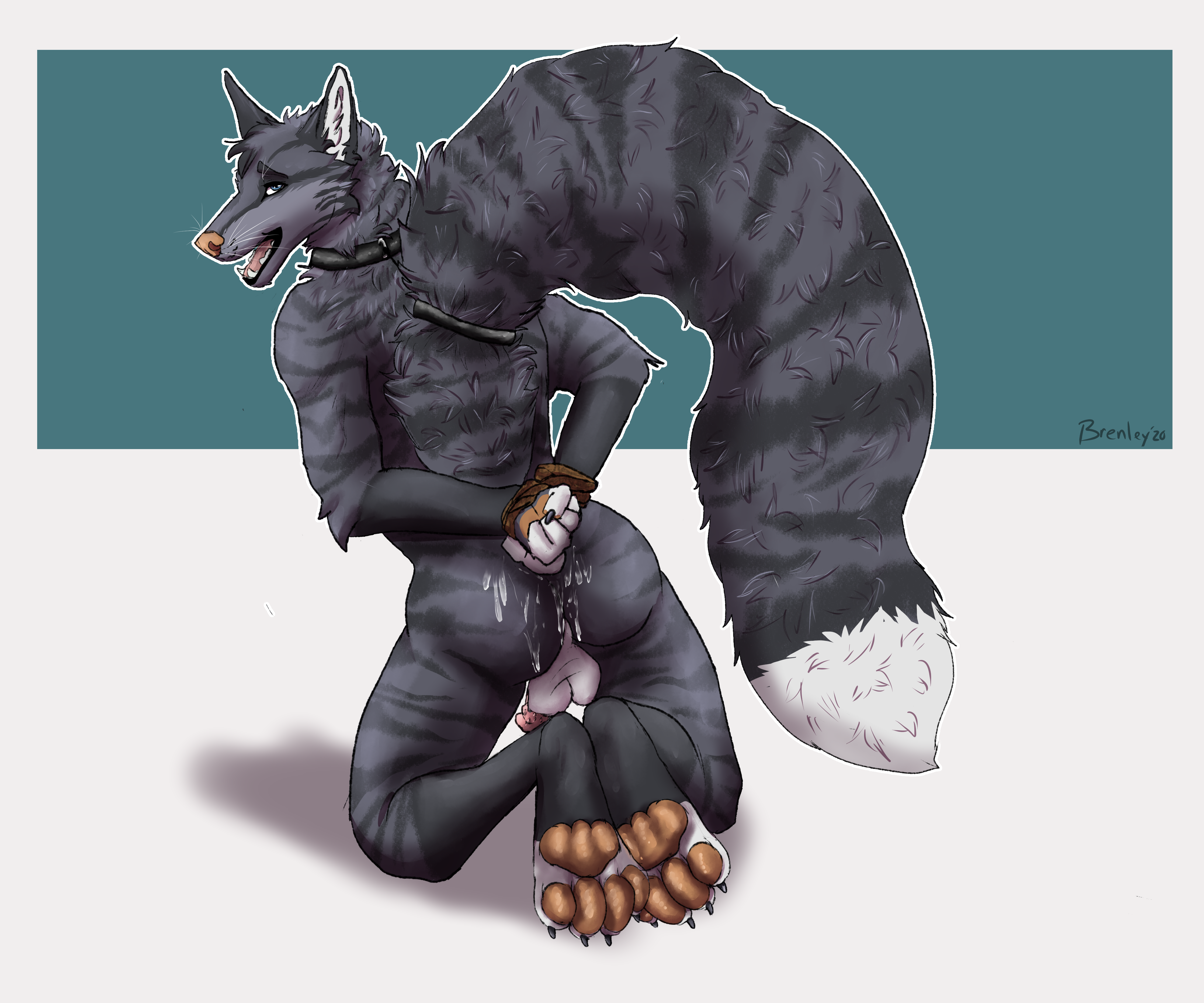 Zax Rule 34 Image
