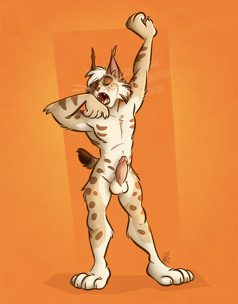 Anthro Rule 34 Image
