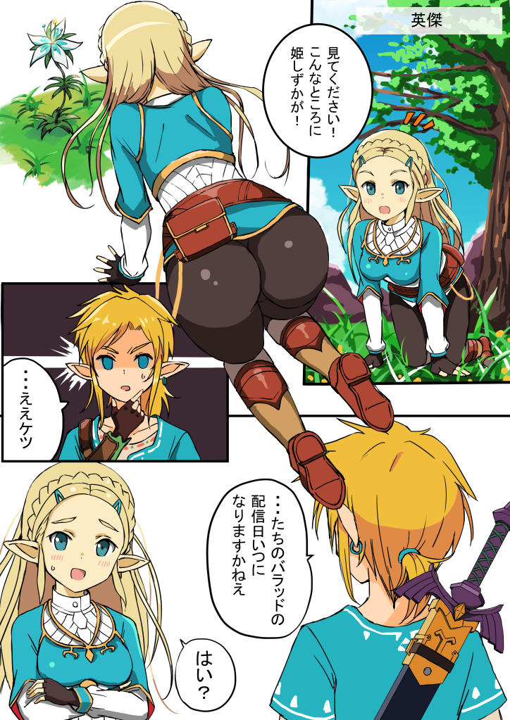 Link (Breath Of The Wild) Rule 34 Image