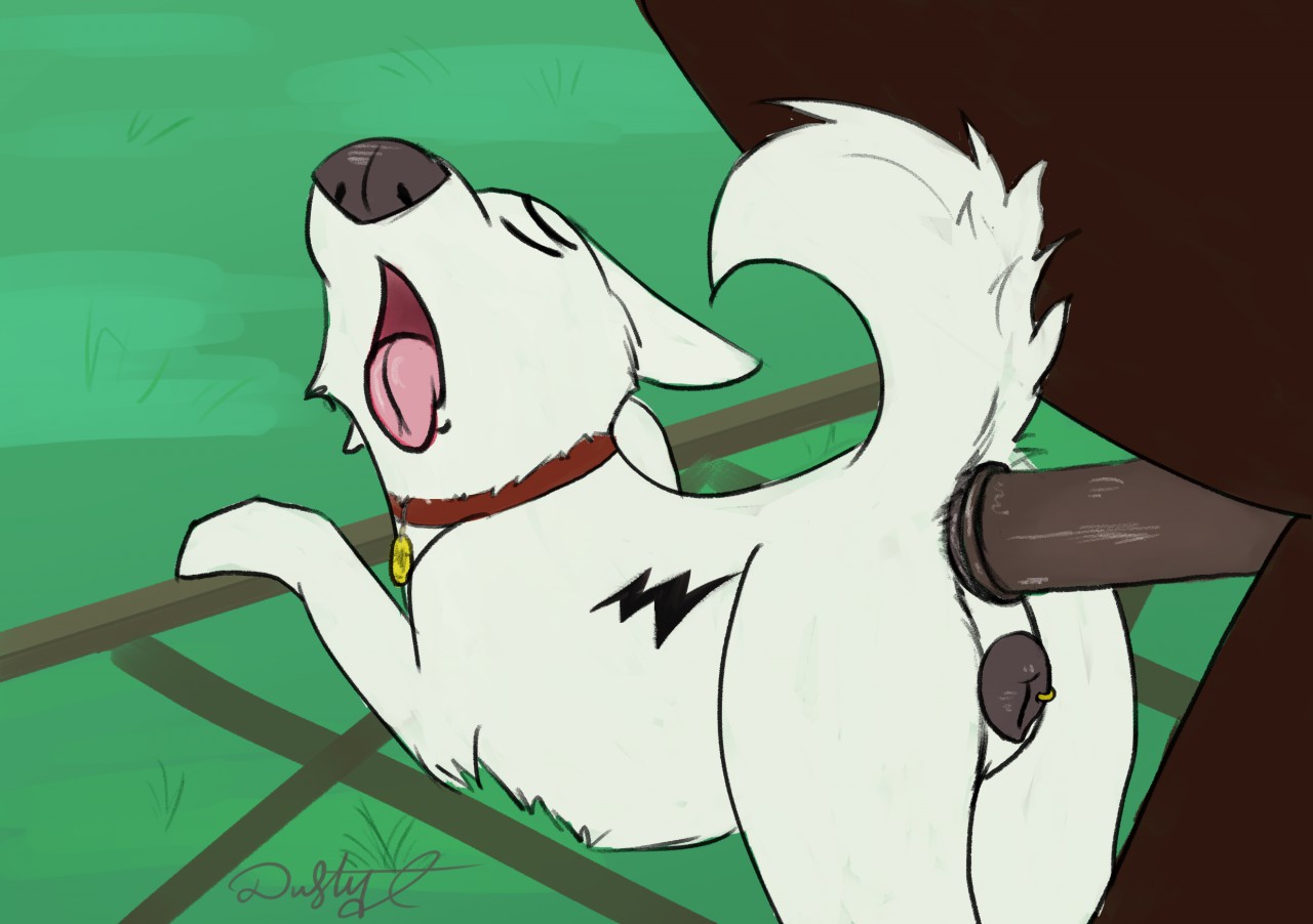 Bolt (Bolt) Rule 34 Image