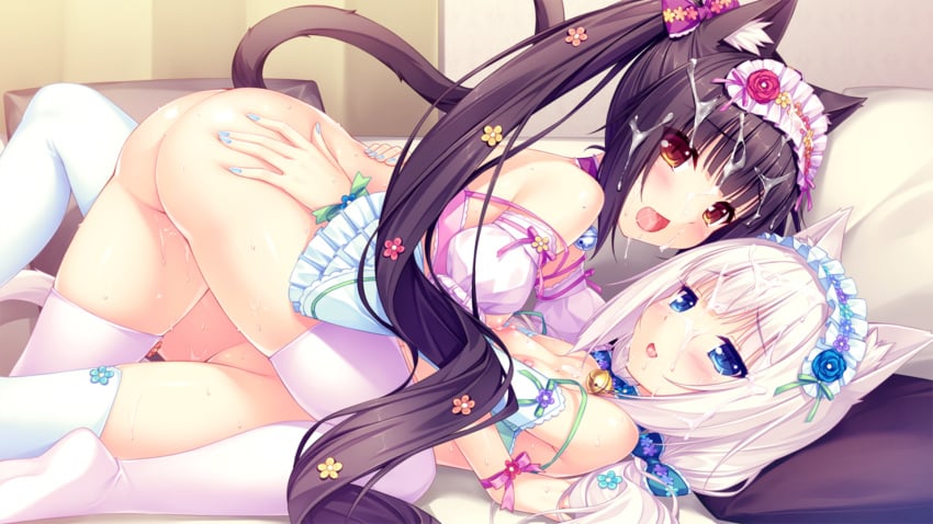 Chocola (Sayori) Rule 34 Image