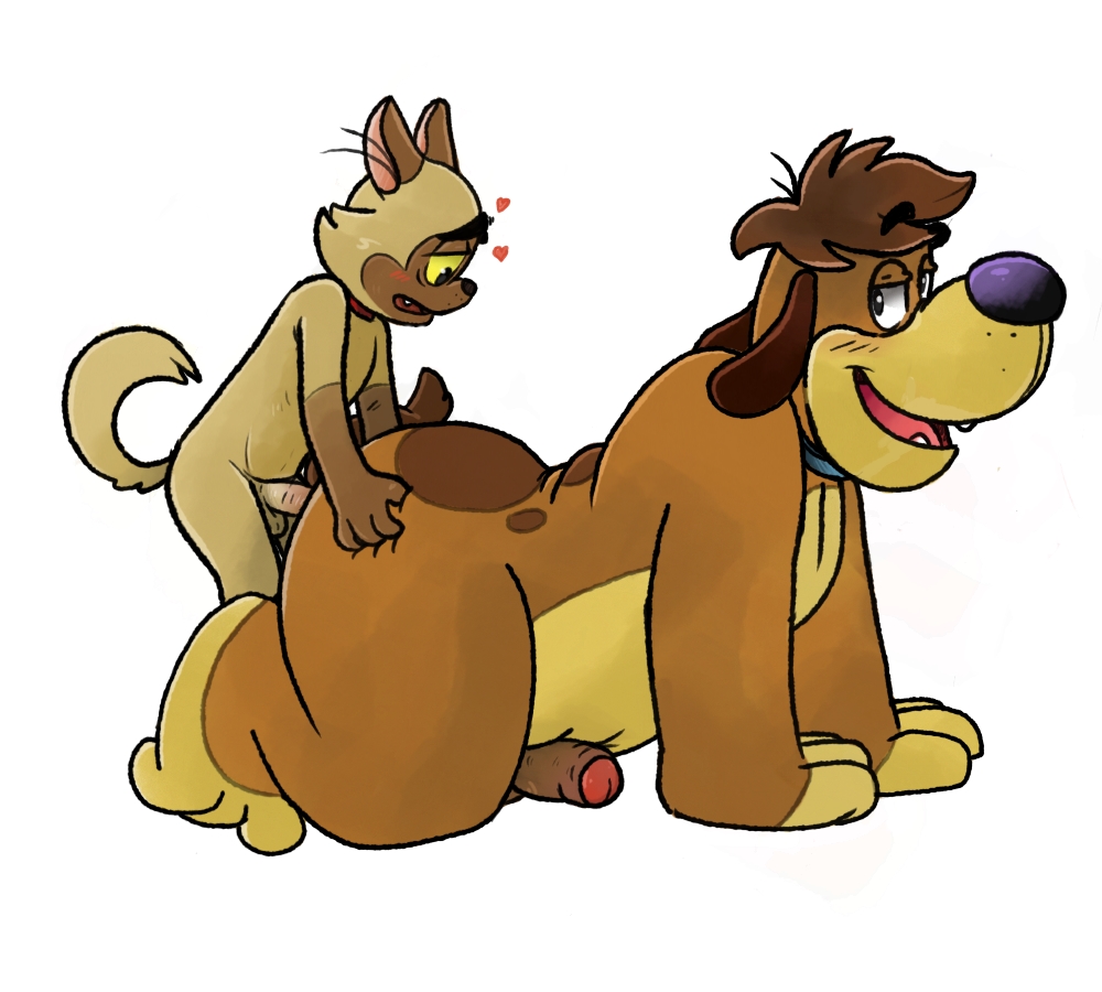 Chester (Bunnicula) Rule 34 Image