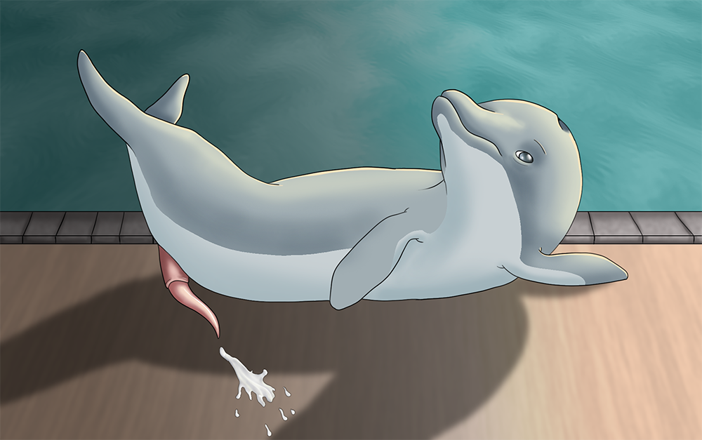Animal Genitalia Rule 34 Image