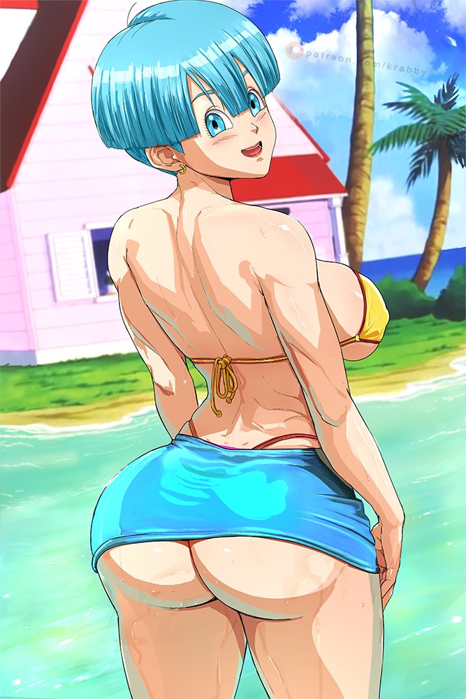 Bulma Briefs (Dragon Ball) Rule 34 Image