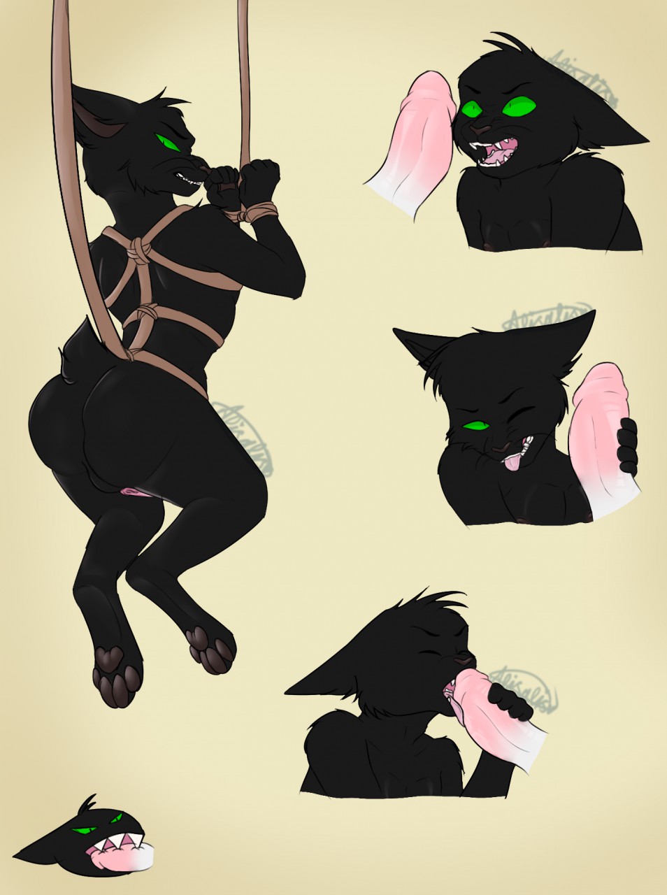 Sheriff Mao Mao Mao (Cartoon Network) Rule 34 Image