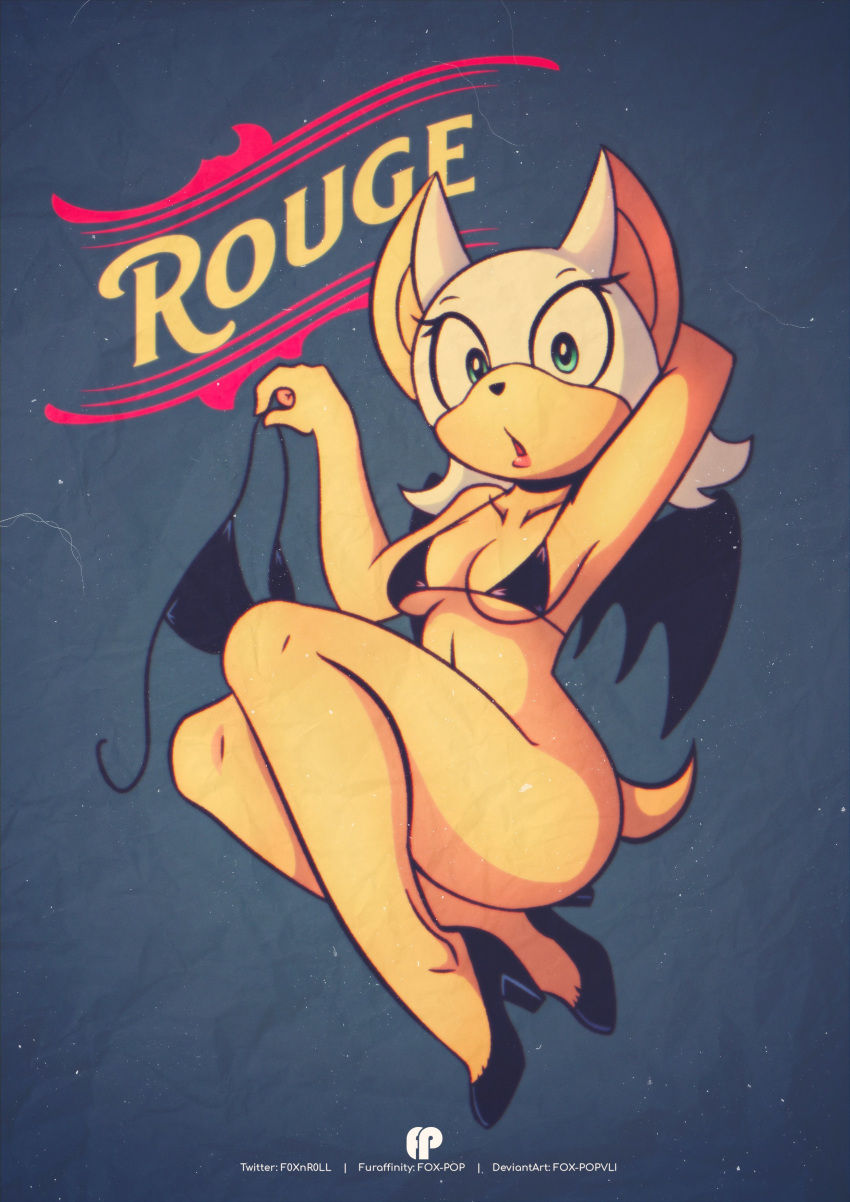 Rouge The Bat (Sonic (Series)) Rule 34 Image