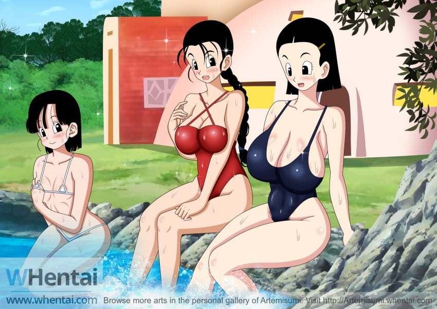 Chichi (Dragon Ball) Rule 34 Image