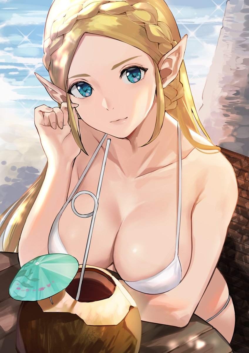 Princess Zelda (Breath Of The Wild) Rule 34 Image