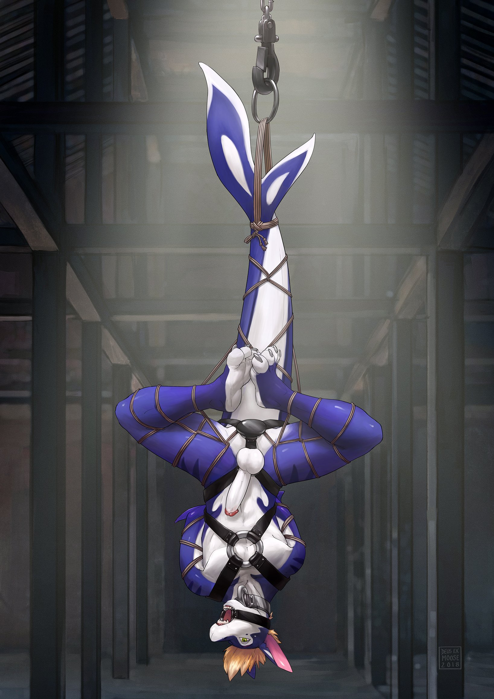 Anal Rule 34 Image