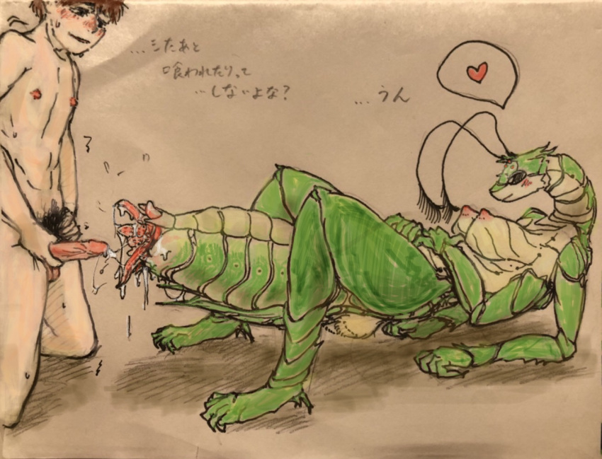 Antennae (Anatomy) Rule 34 Image