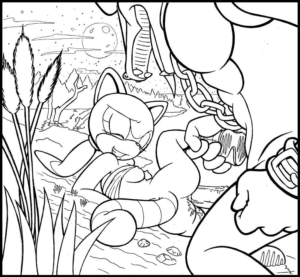 Marine The Raccoon (Sonic (Series)) Rule 34 Image