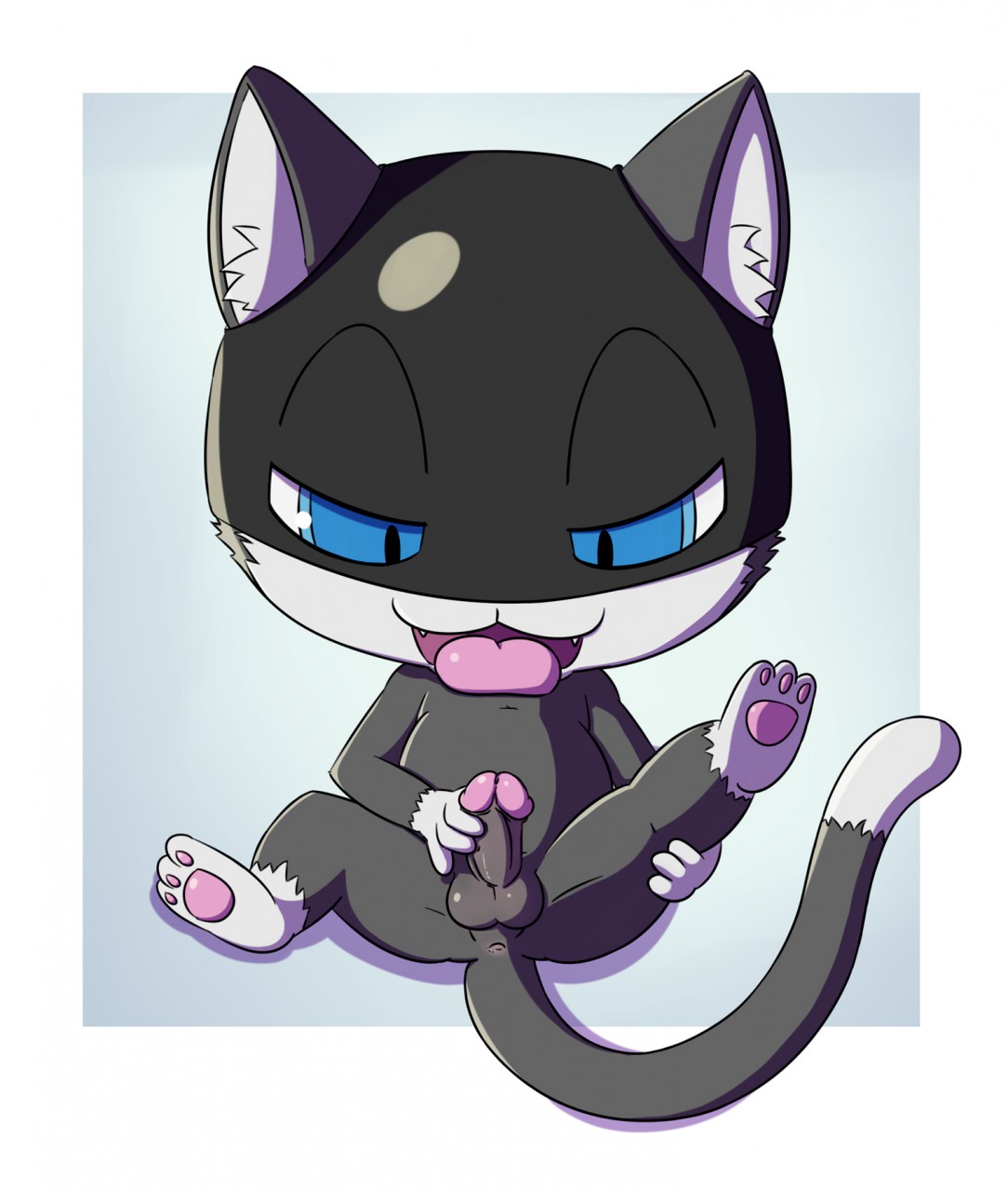 Morgana (Persona) Rule 34 Image