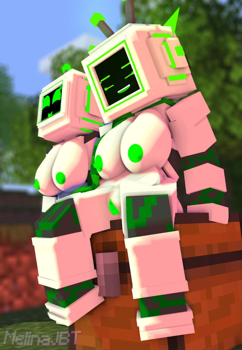 Lic-009/Lucinda (Melinajbt) Rule 34 Image