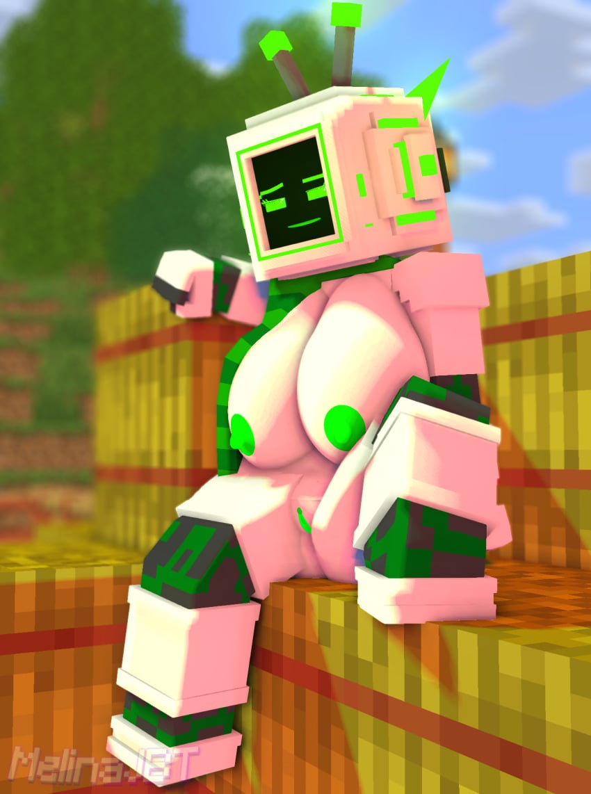 Lic-009/Lucinda (Melinajbt) Rule 34 Image