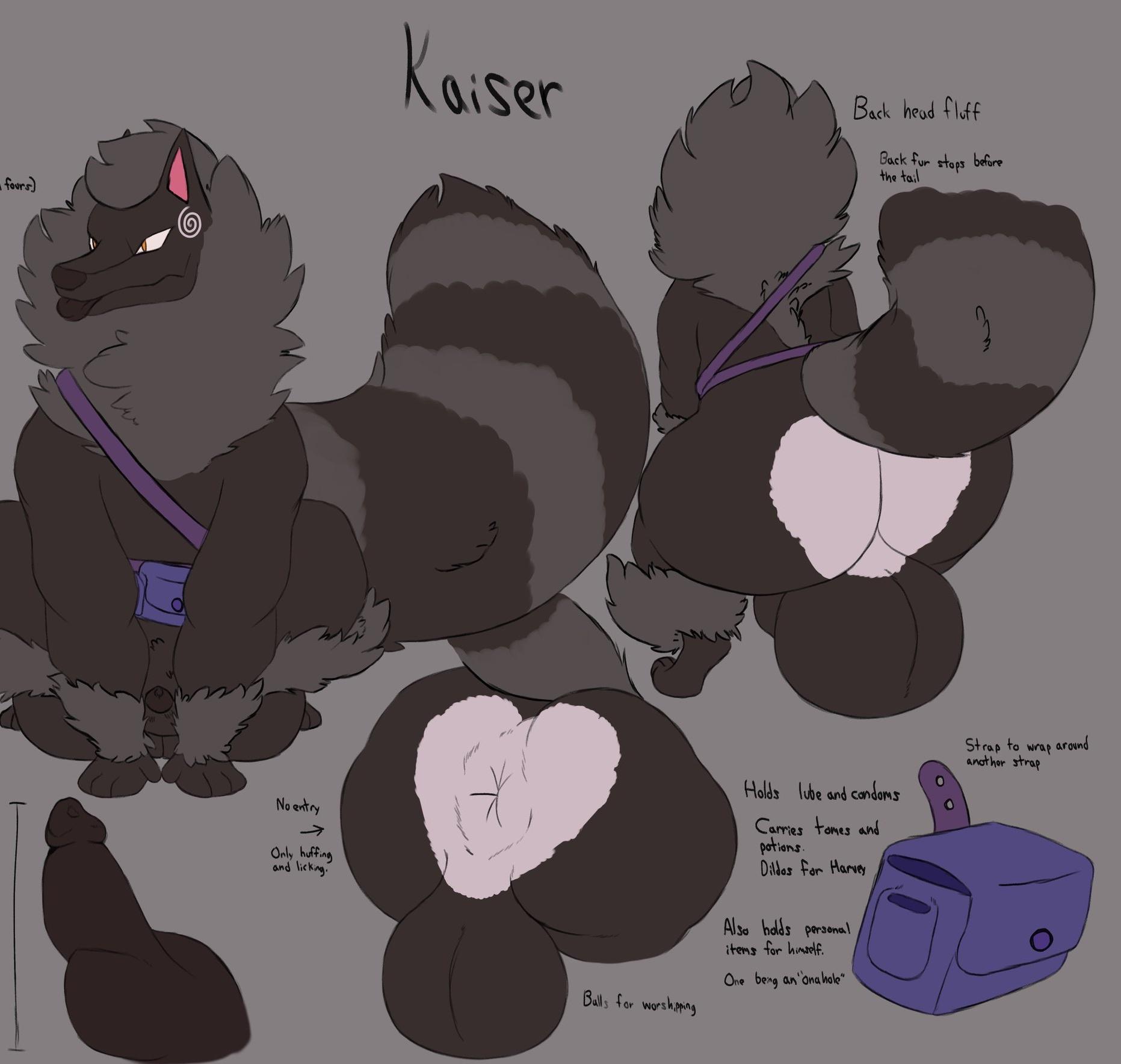 Kaiser (Thiccvally) Rule 34 Image