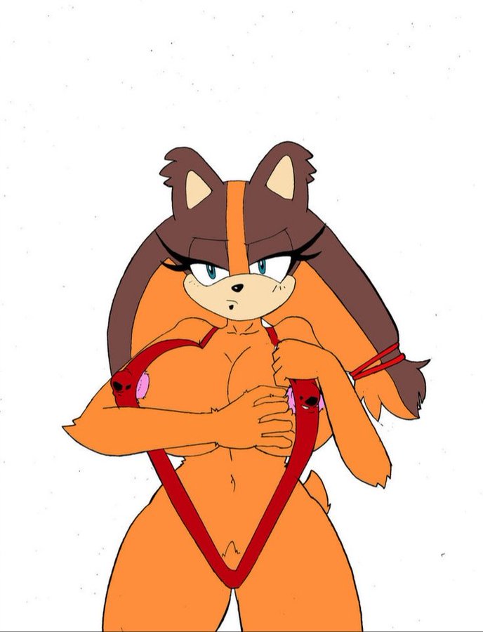 Sticks The Badger (Sonic (Series)) Rule 34 Image