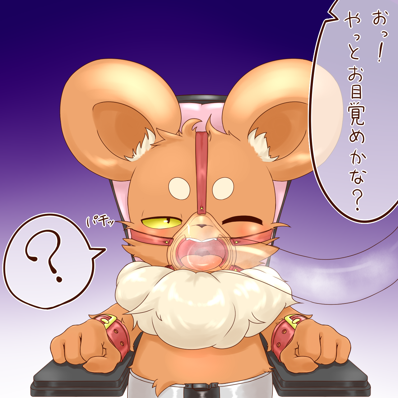 1:1 Rule 34 Image
