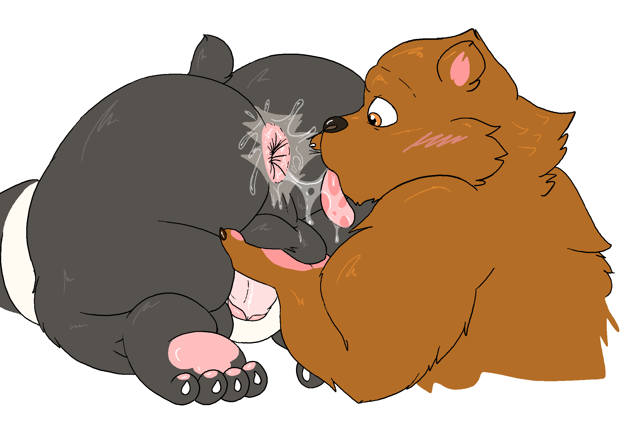 Grizzly (Wbb) Rule 34 Image