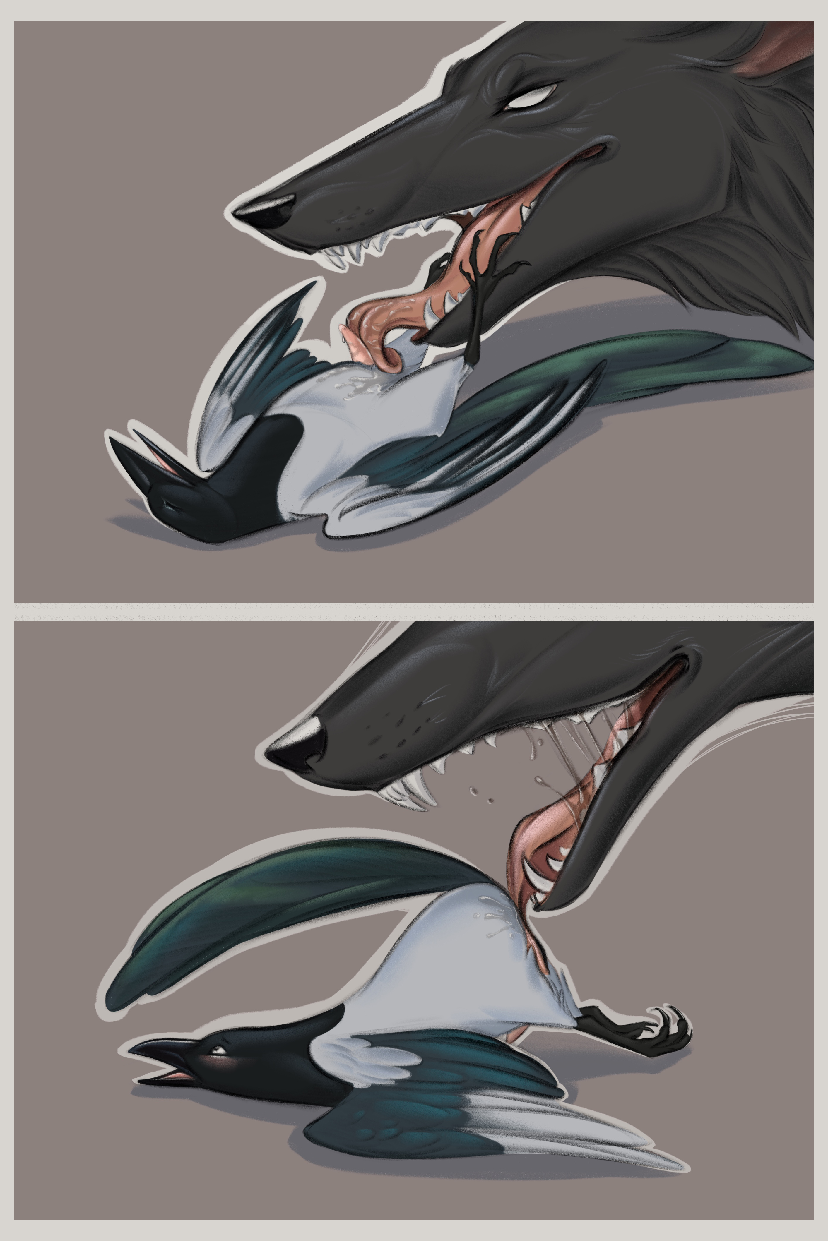 Magpie (Disambiguation) Rule 34 Image