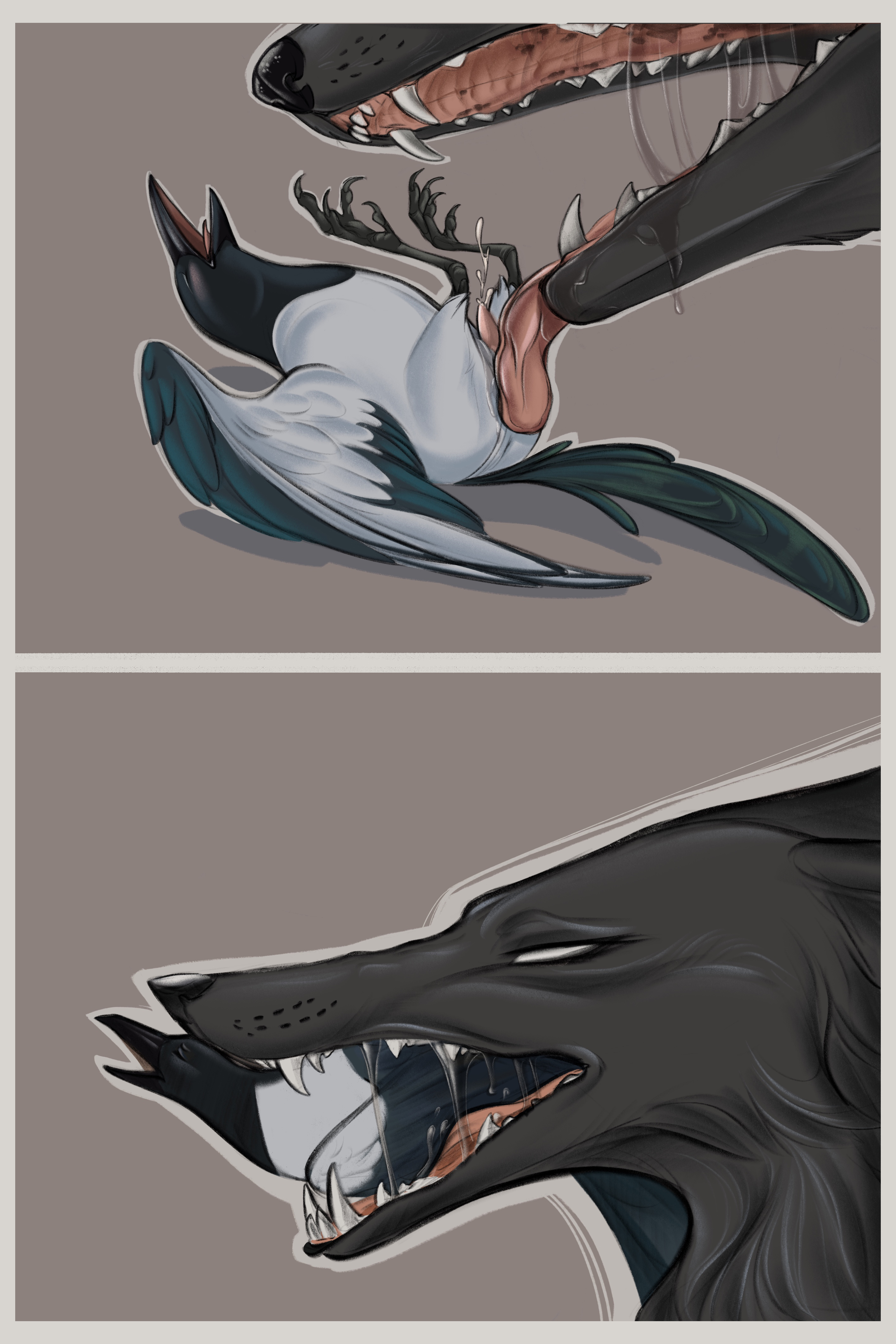 Magpie (Disambiguation) Rule 34 Image