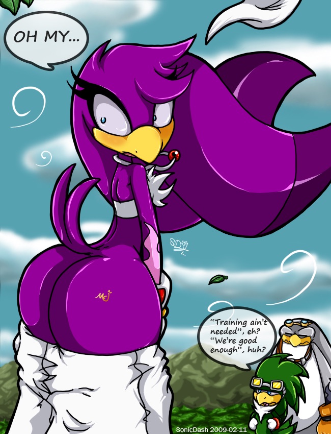Jet The Hawk (Sega) Rule 34 Image