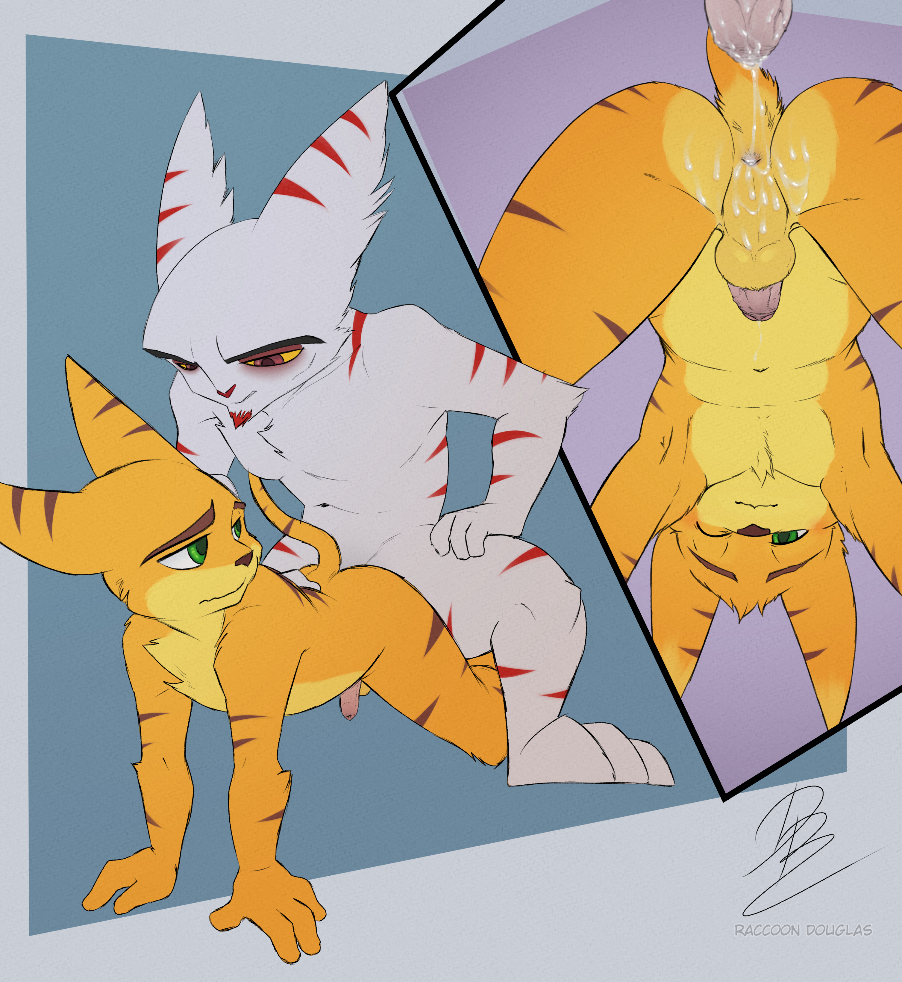 Raccoon Douglas (Artist) Rule 34 Image