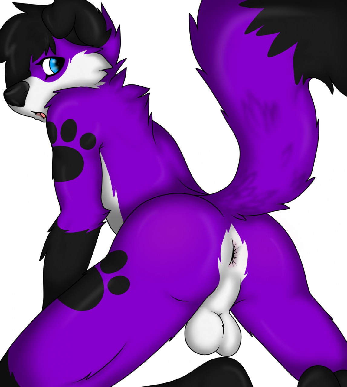 Pawalo Rule 34 Image